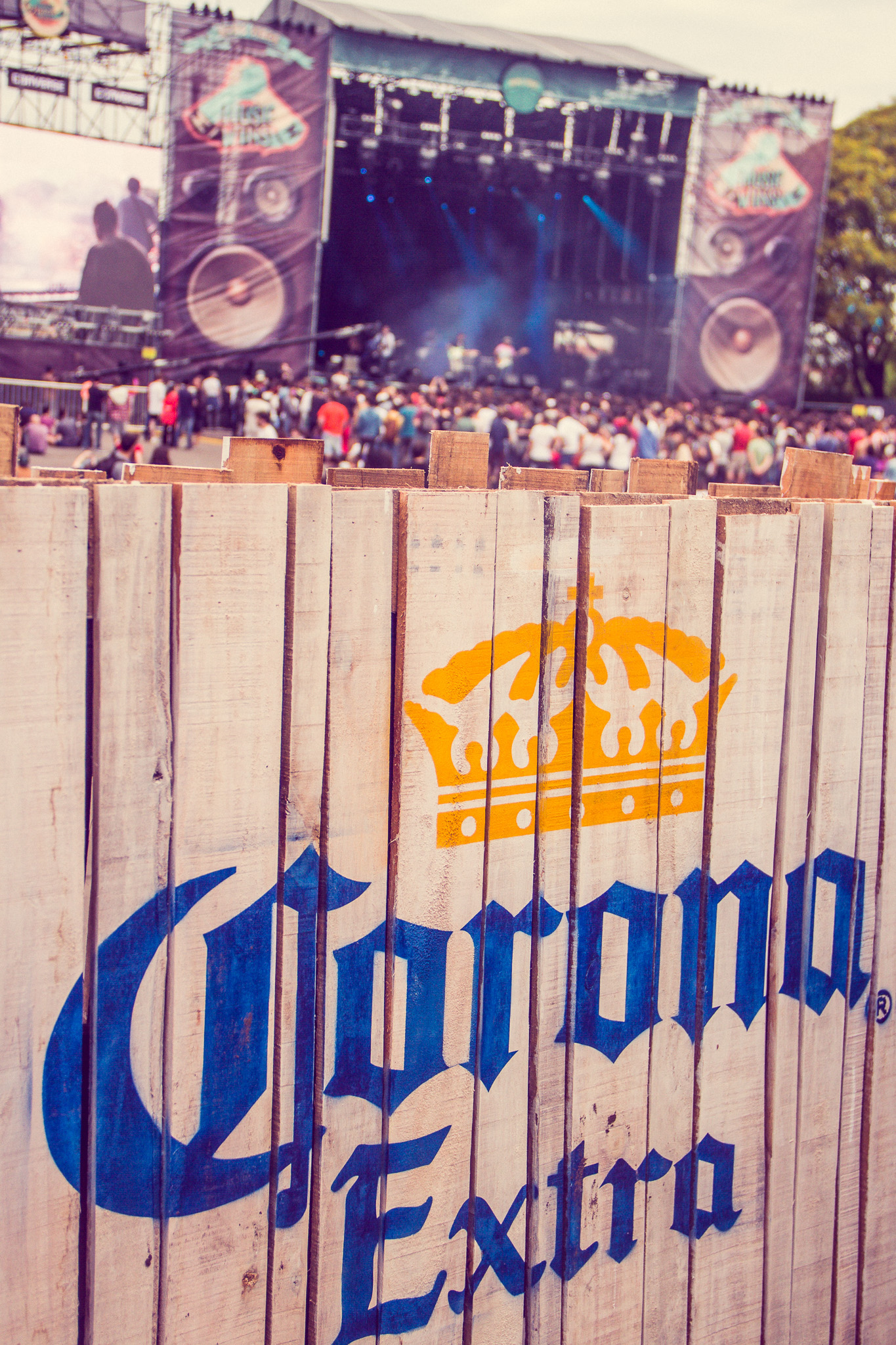 20141124 1124 corona music wins 0232